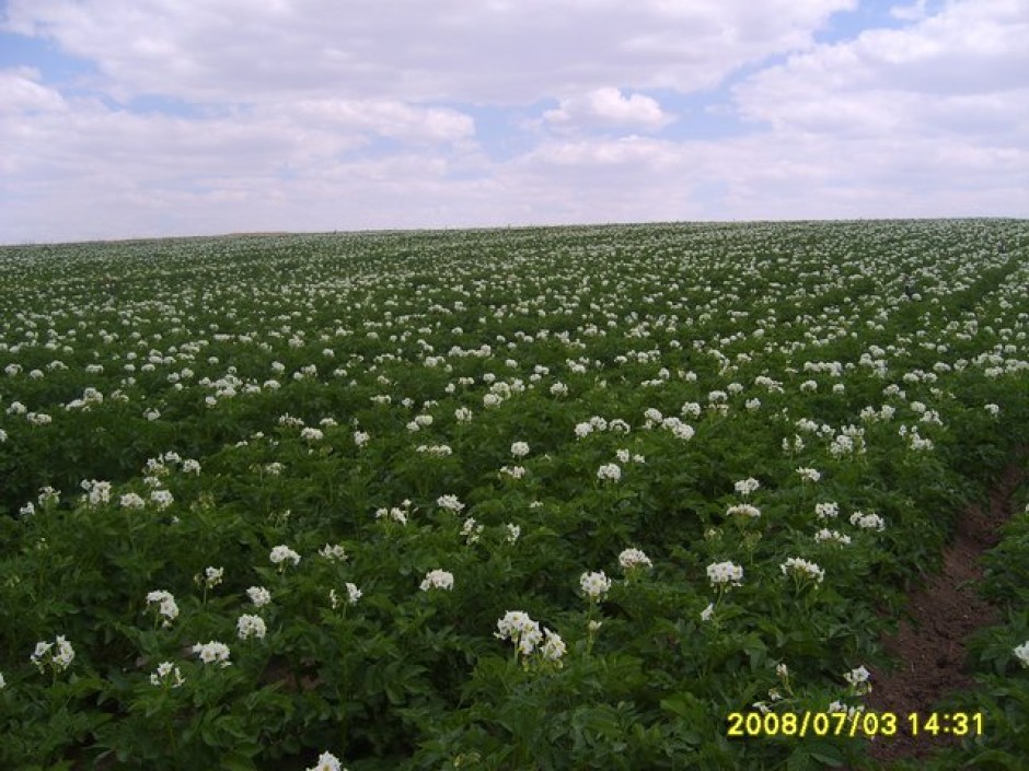 Tezel Tarım